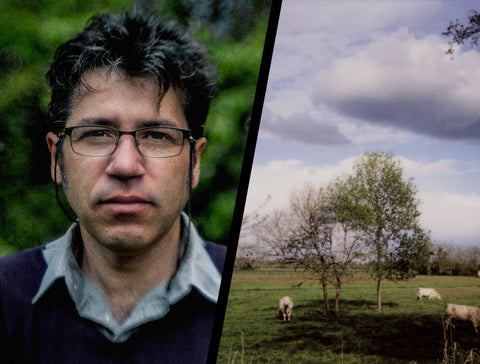 Denis Bourges