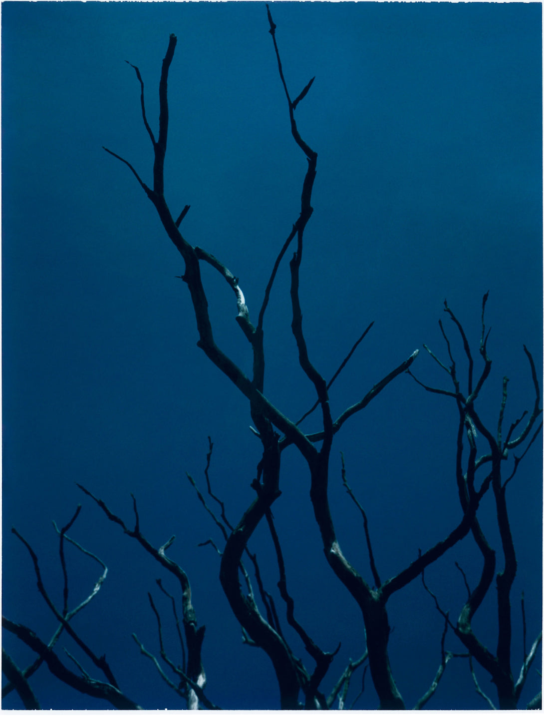 Image from the slide