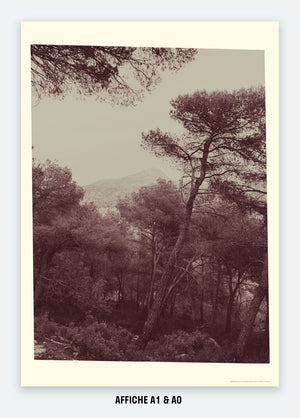 6 août 2019, Sainte-Victoire depuis Le Tholonet