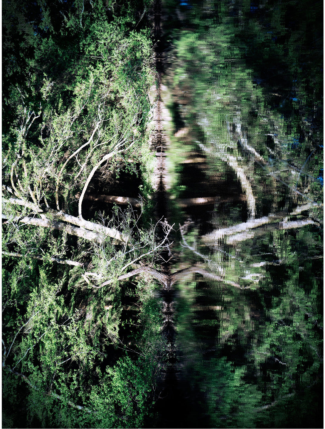 Image from the slide
