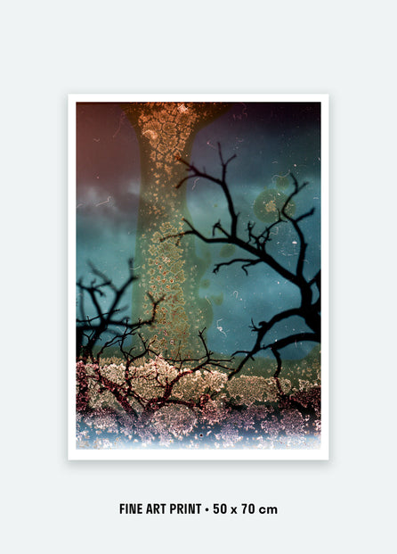 The trees of the river