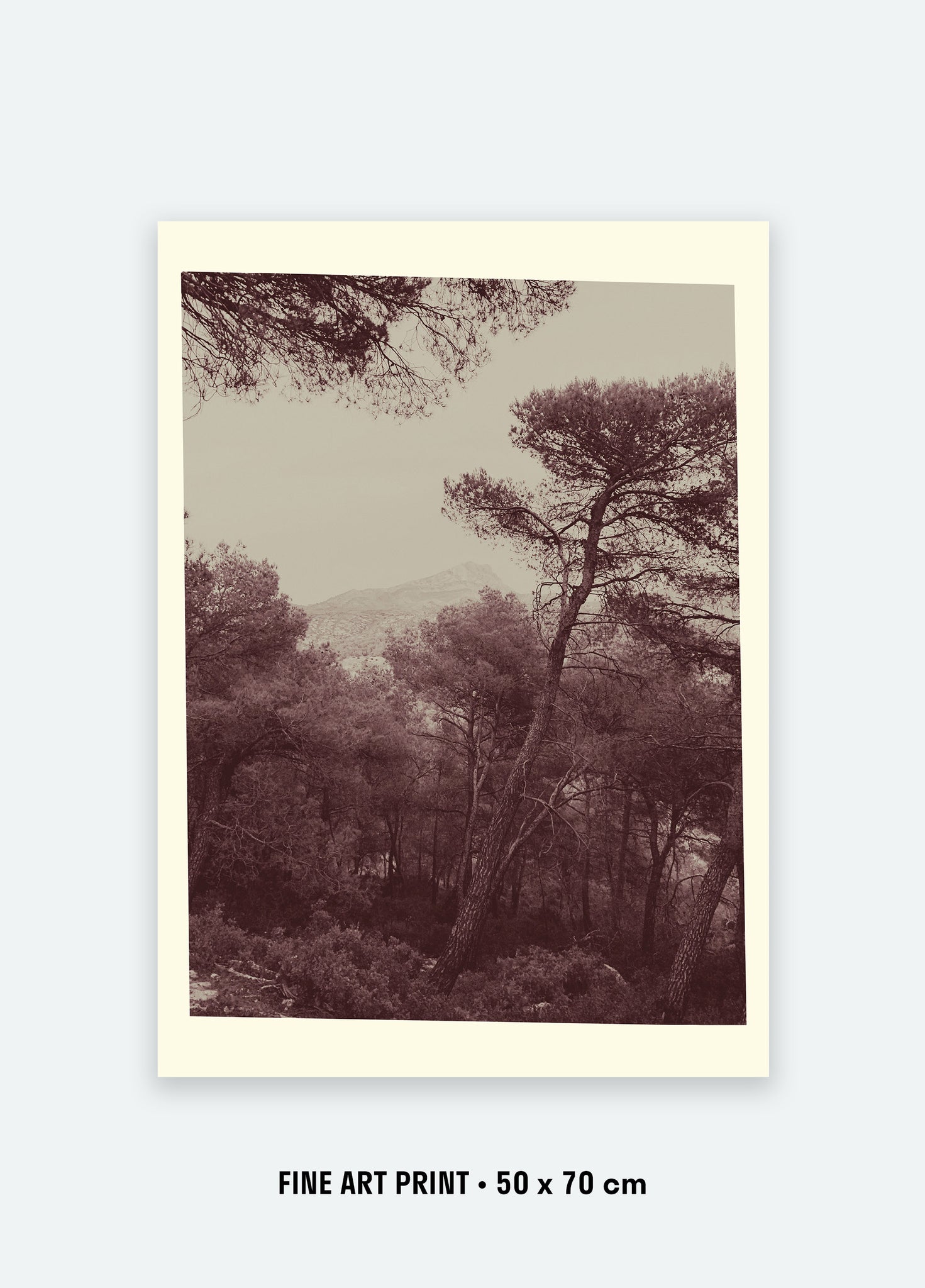 6 août 2019, Sainte-Victoire depuis Le Tholonet