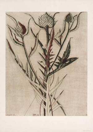 Floraison