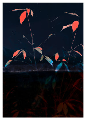 Impact eau salée