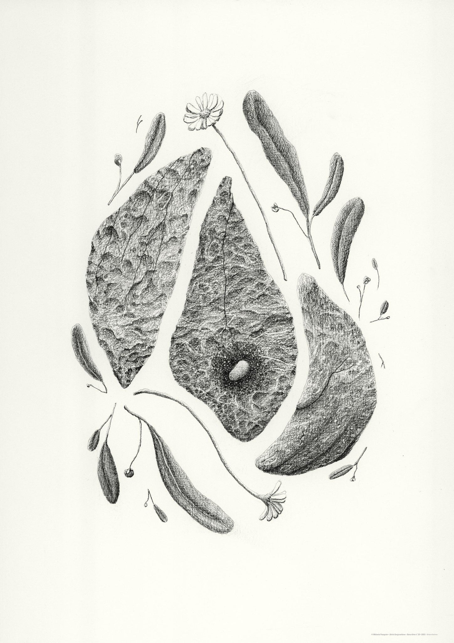 Conjurations - Sans titre n° 33