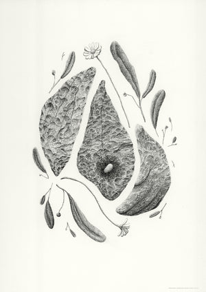 Conjurations - Sans titre n° 33