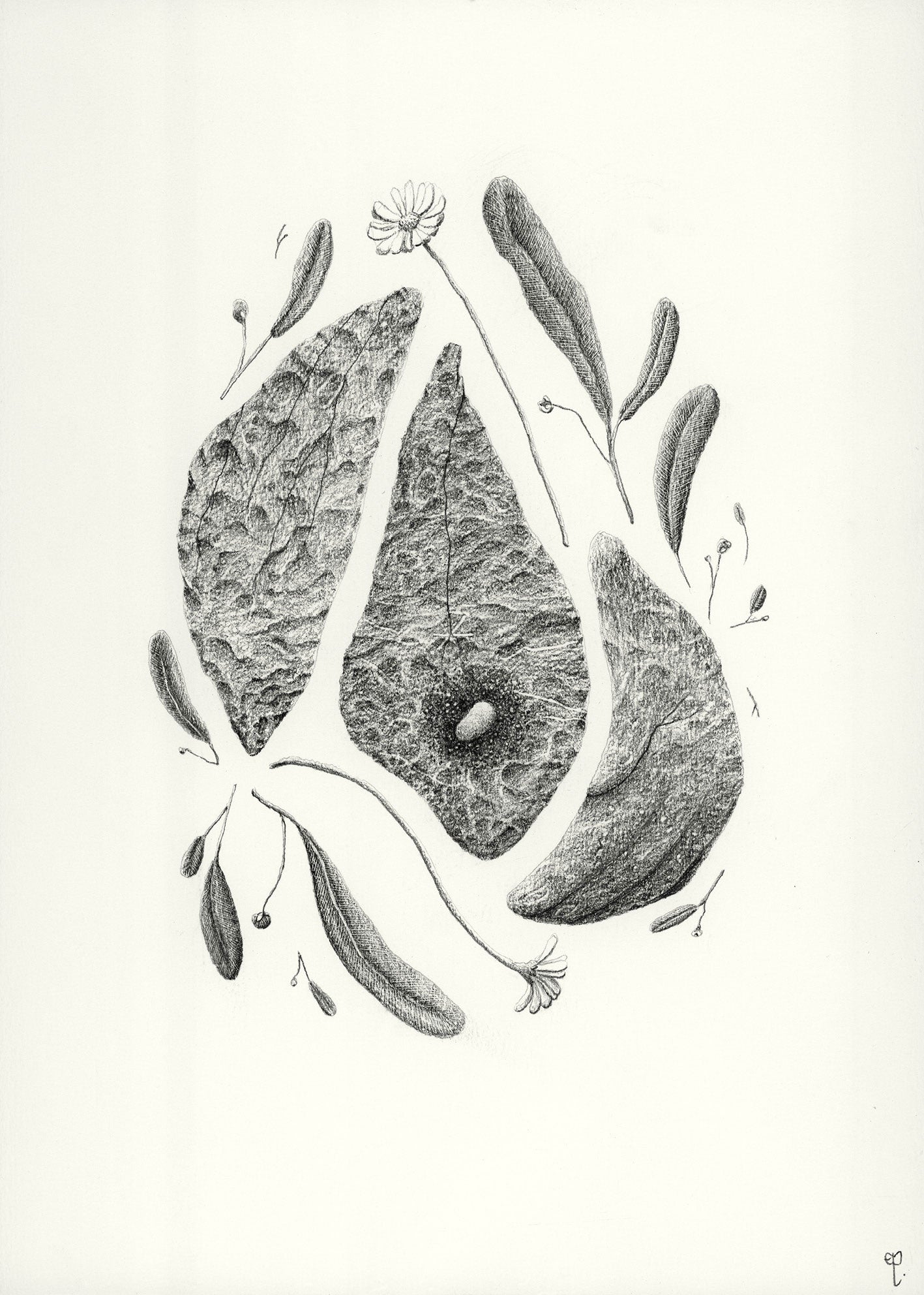 Conjurations - Sans titre n° 33