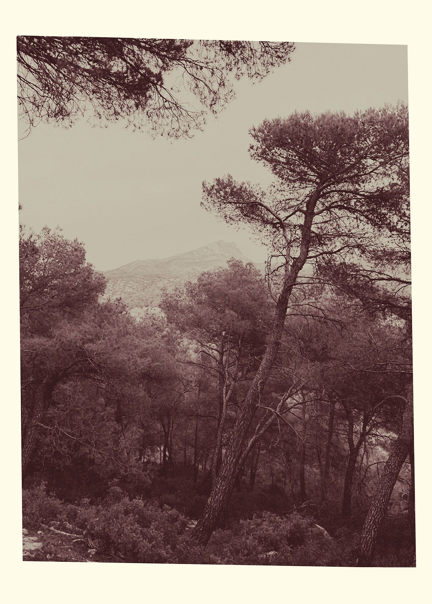 6 août 2019, Sainte-Victoire depuis Le Tholonet