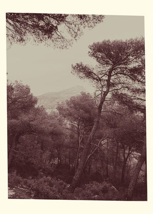 6 août 2019, Sainte-Victoire depuis Le Tholonet