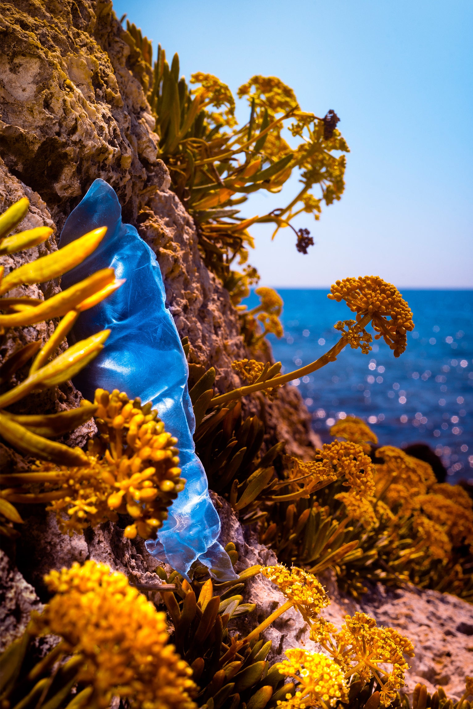 Blue bottle fossil on rocks