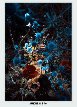 Blue thistle with brown bag