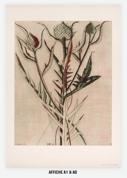 Bloom