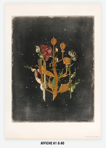 Seeds