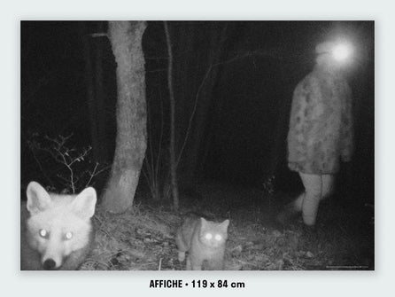 Fox and wildcat, Le Noirmont (Switzerland)