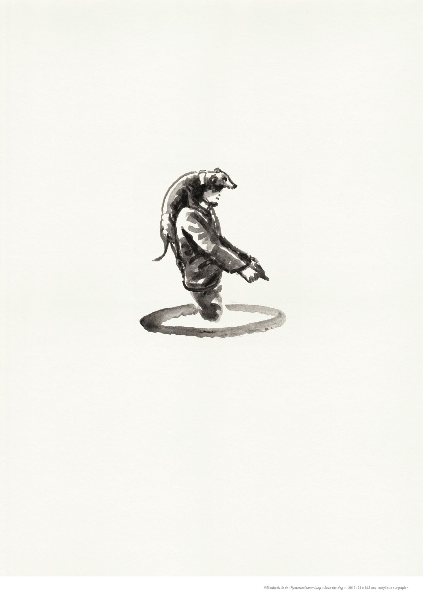 Hystericalsammlung - Collection hystérique