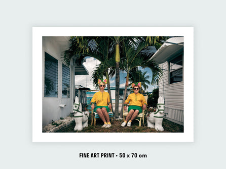 Palm trees and spring