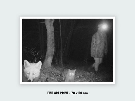 Fox and wildcat, Le Noirmont (Switzerland)